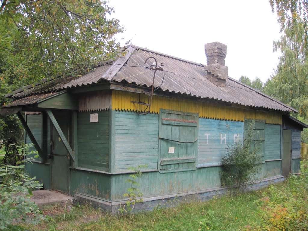 Тир