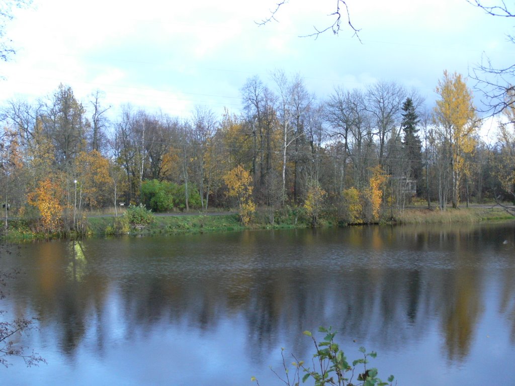 Красный пруд, октябрь 2008