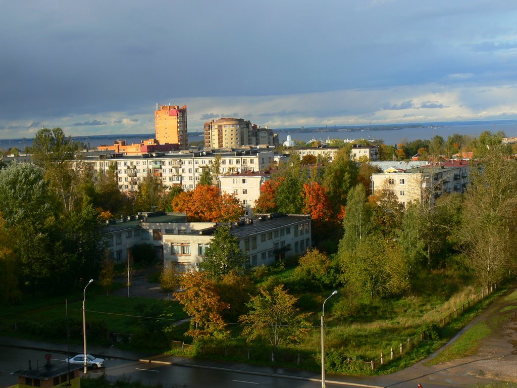 Вид из окна на золотую осень... (3 октября 2009 года)