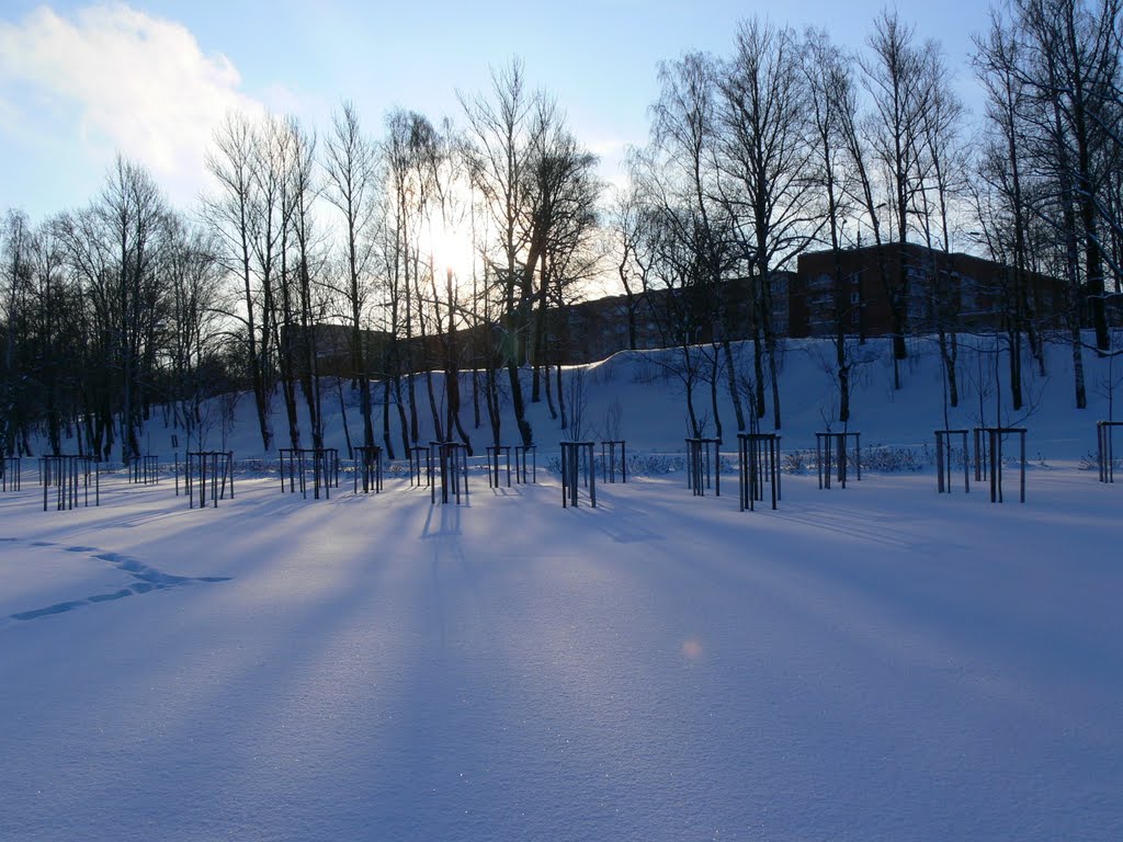 06.02.2010
