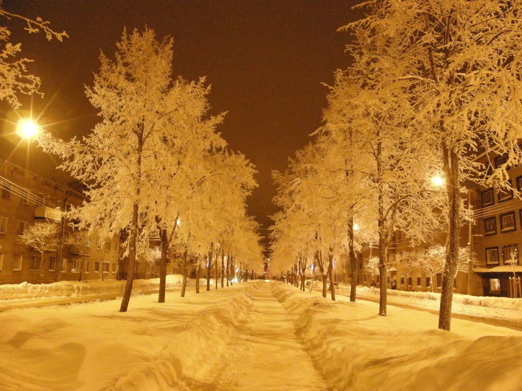 Зимние липы на улице Победы