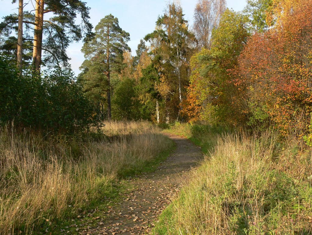 Аллея парка осенью