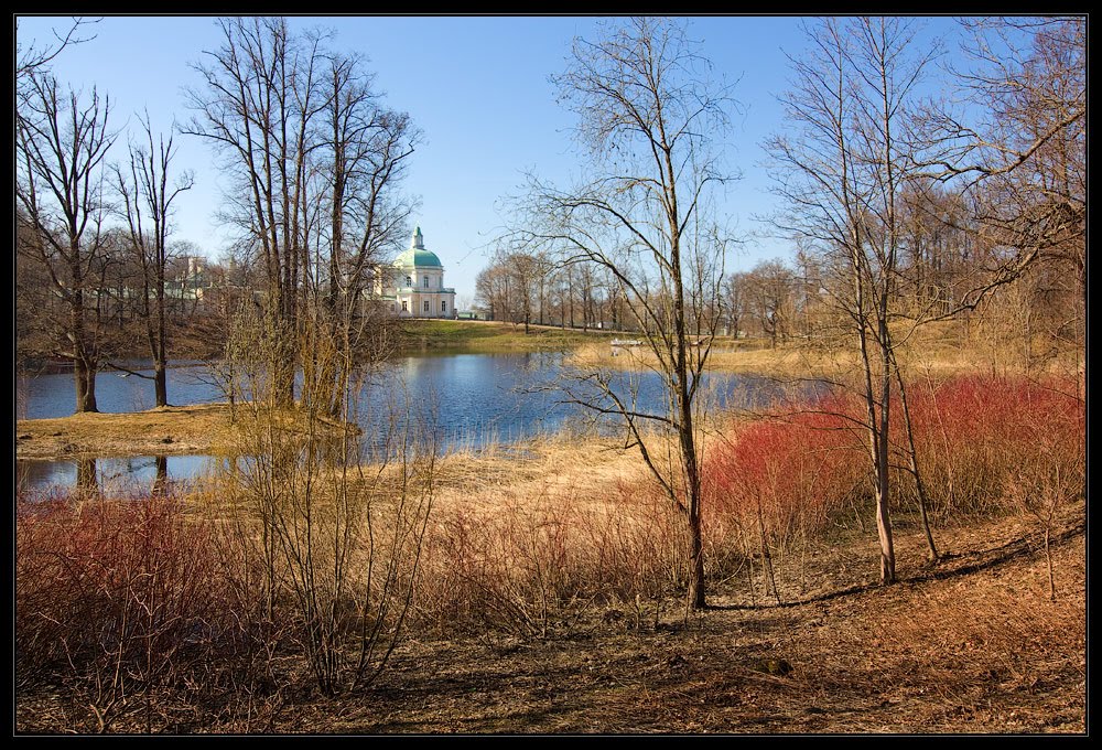 Парк в апреле, 2011