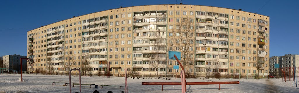 Дом-"муравейник" напротив 430-й школы