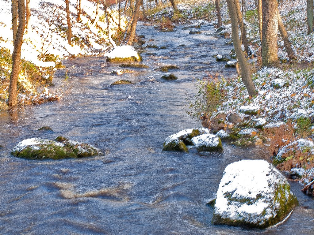 Бурный поток.  The rough river.