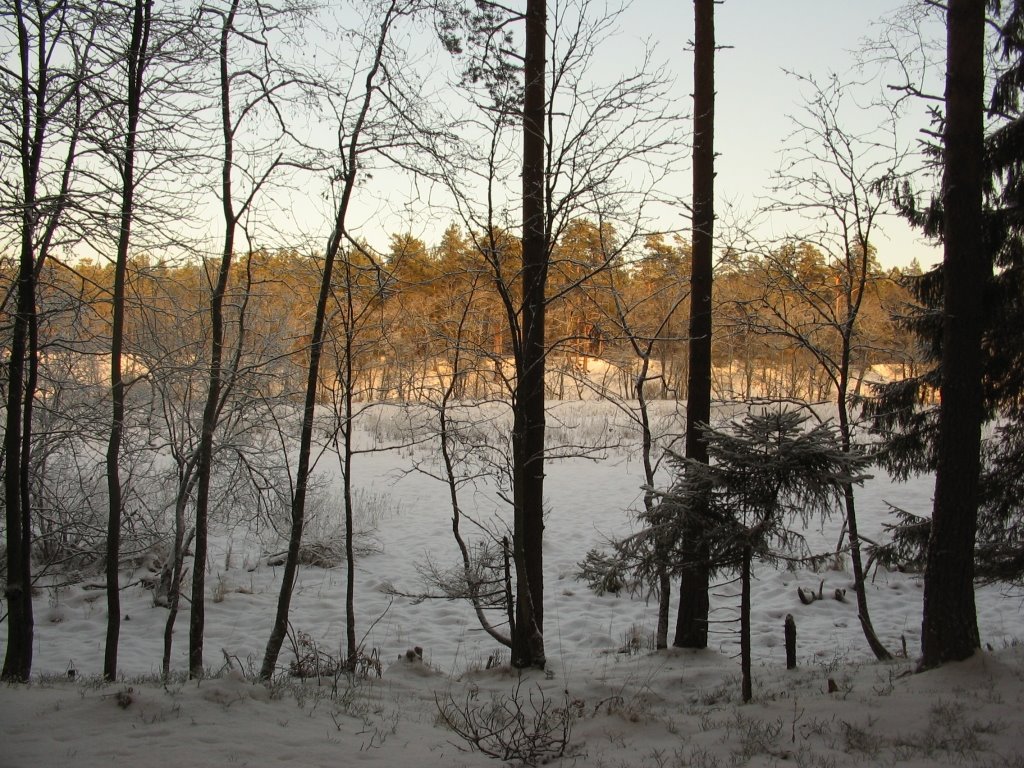 Близится закат (1)