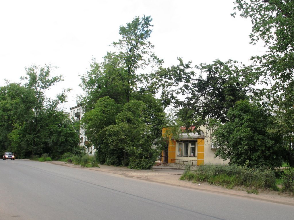 г.Луга. Июль 2008 года