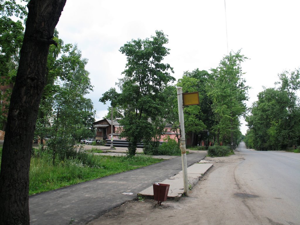 г.Луга. Июль 2008 года.