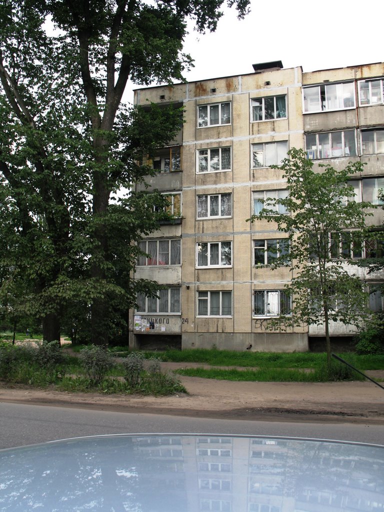 г.Луга. Июль 2008 года.
