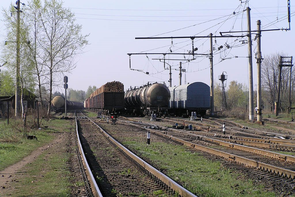 Andénes del patio sur de la Estación de Luga 1