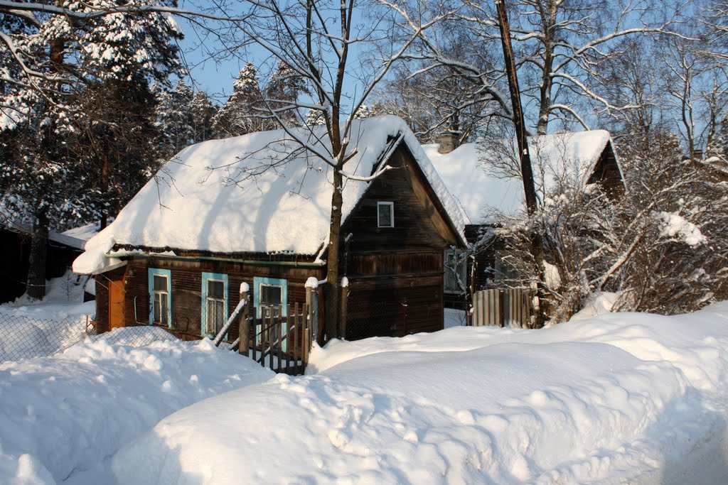Луга - Дмитриева - 2011