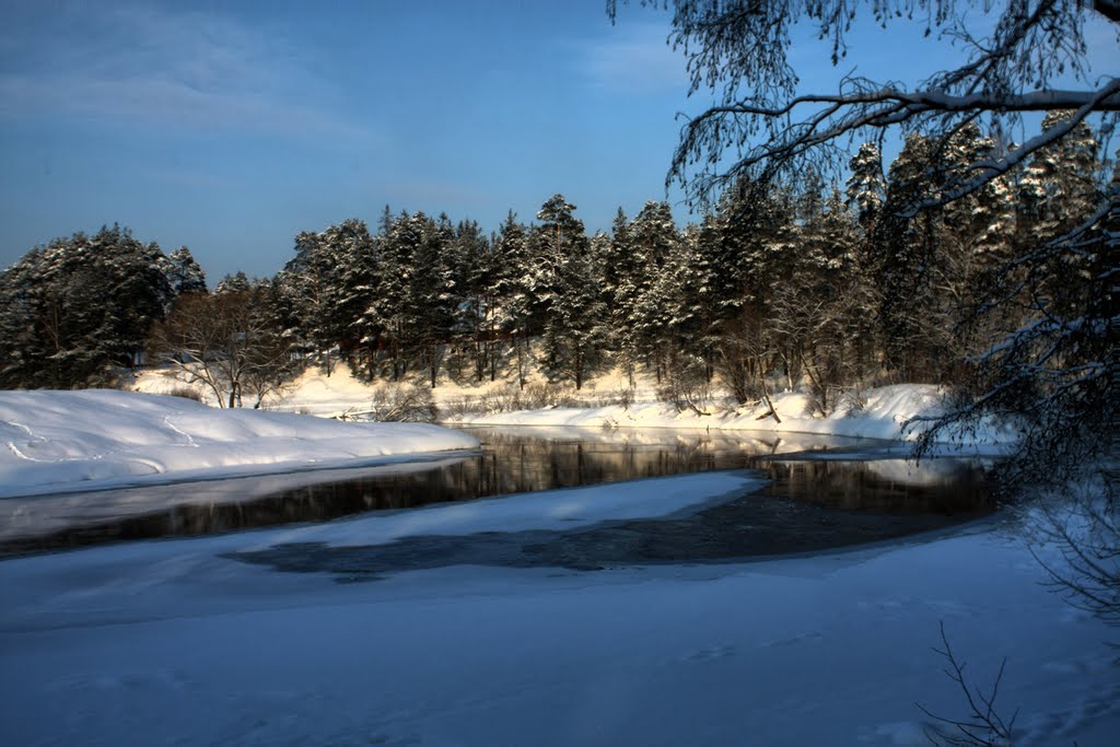 Река Луга - 2011