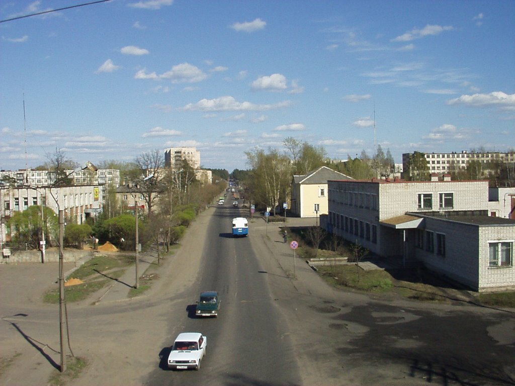 Vista desde el viaducto a la calle Pobedy