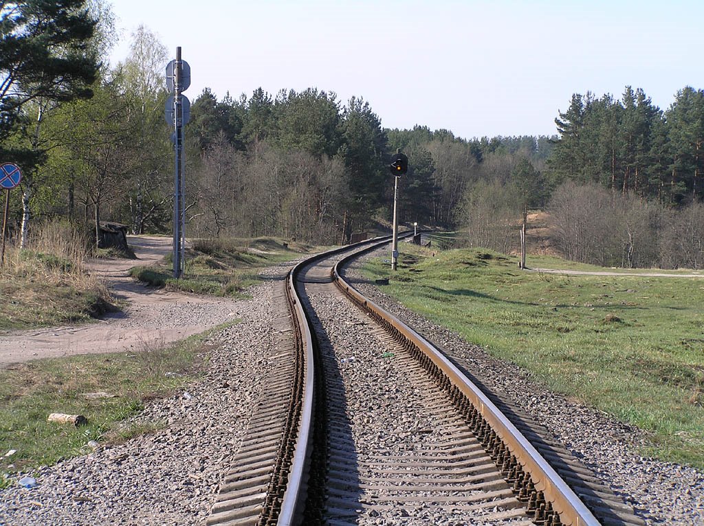 ZD na Lugu II