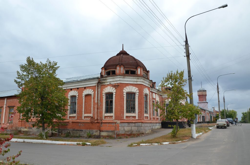 Павловск, Ростовская обл.