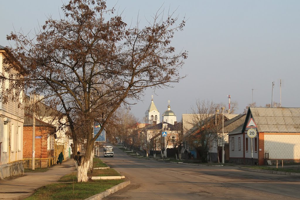 Павловск. Церковь Казанской иконы Божией Матери