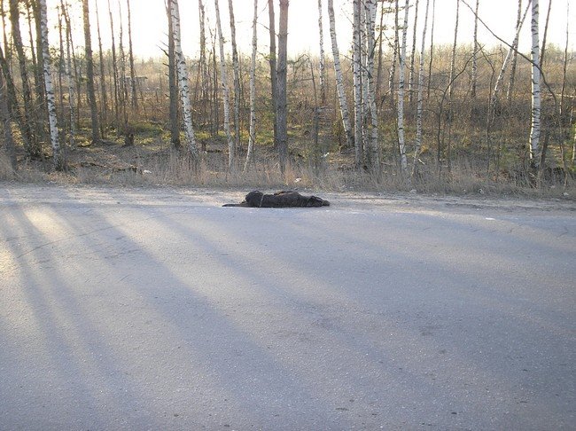 Результат гонок