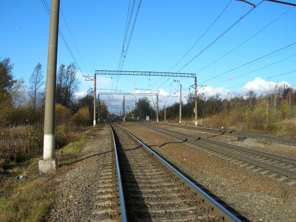 pargolovo