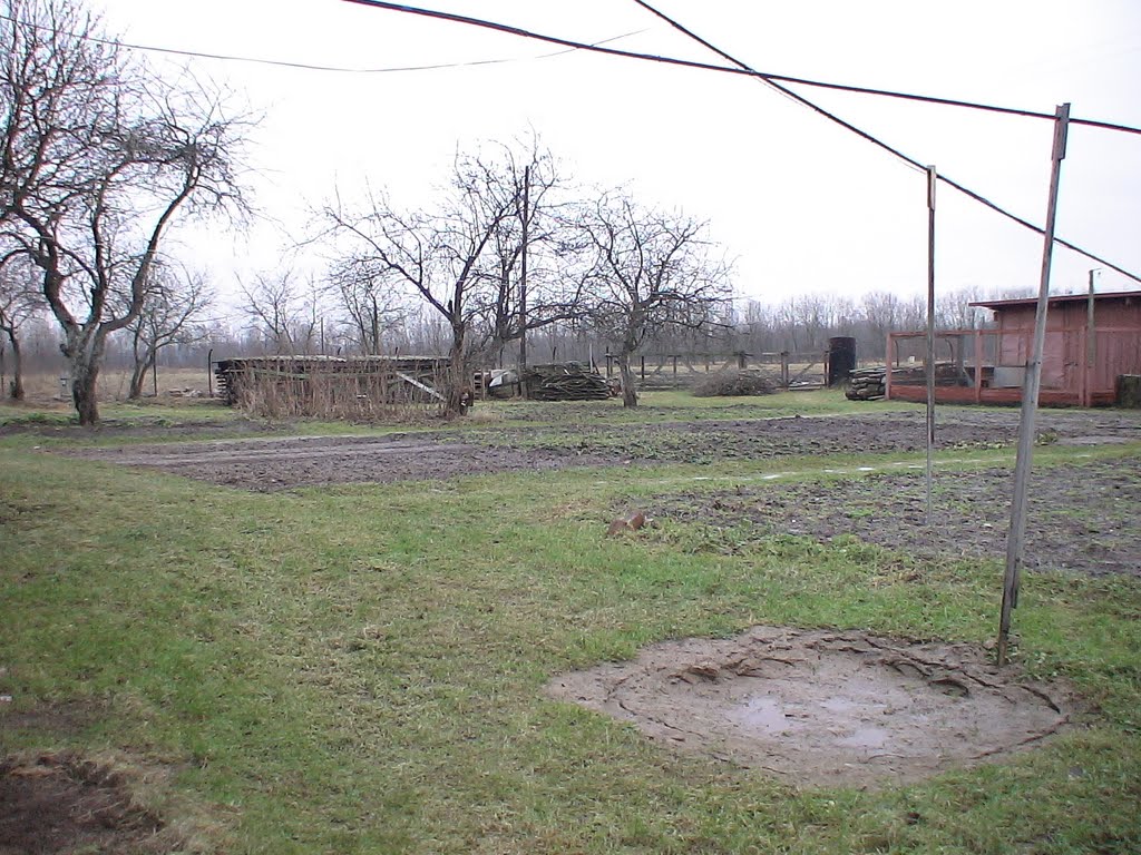 Ну и зима!.. (08.01.2007)