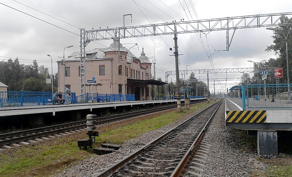 Железнодорожная станция Парголово.