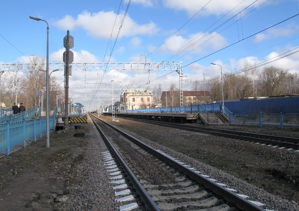 Станция Парголово