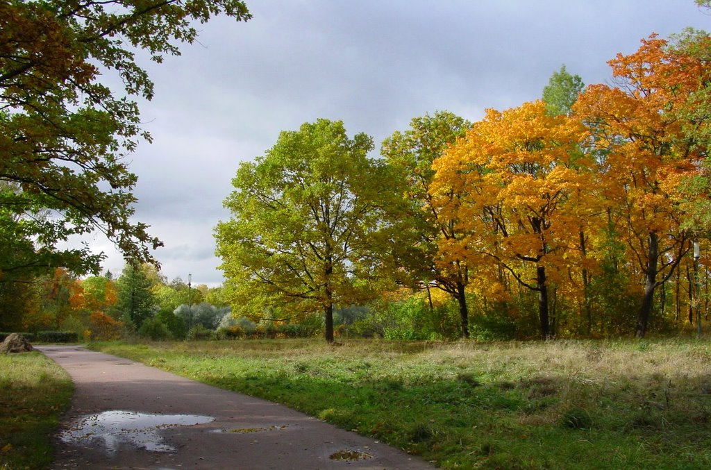 bright autumn