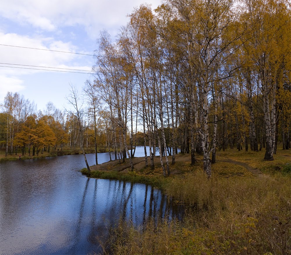 Английский парк из электрички.Осень.