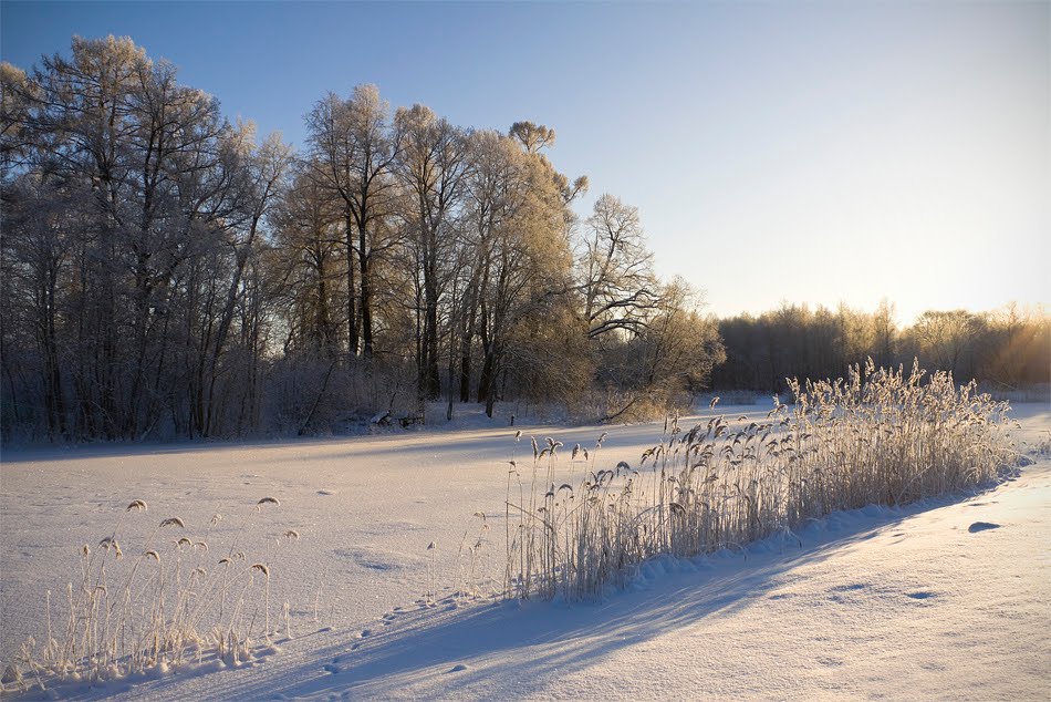 Луговой парк в декабре. Орлиный Верхний пруд. The Aquiline Overhead pond in the winter.