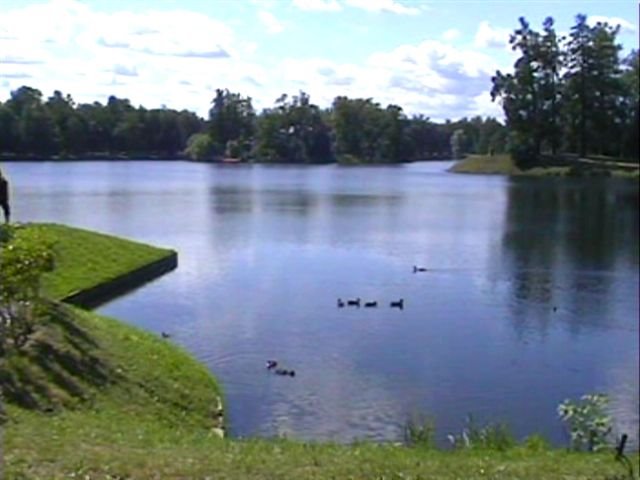 Peterhof - il parco