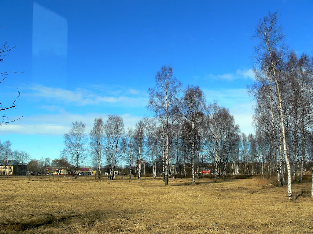 Весна