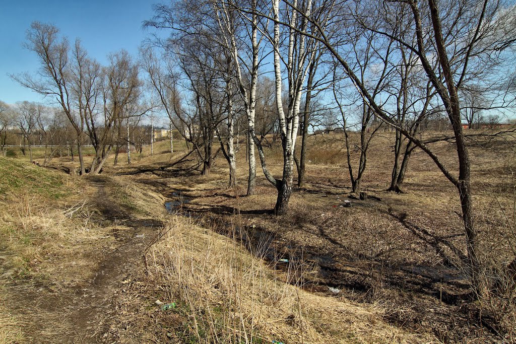 Английский парк. Апрель 2013