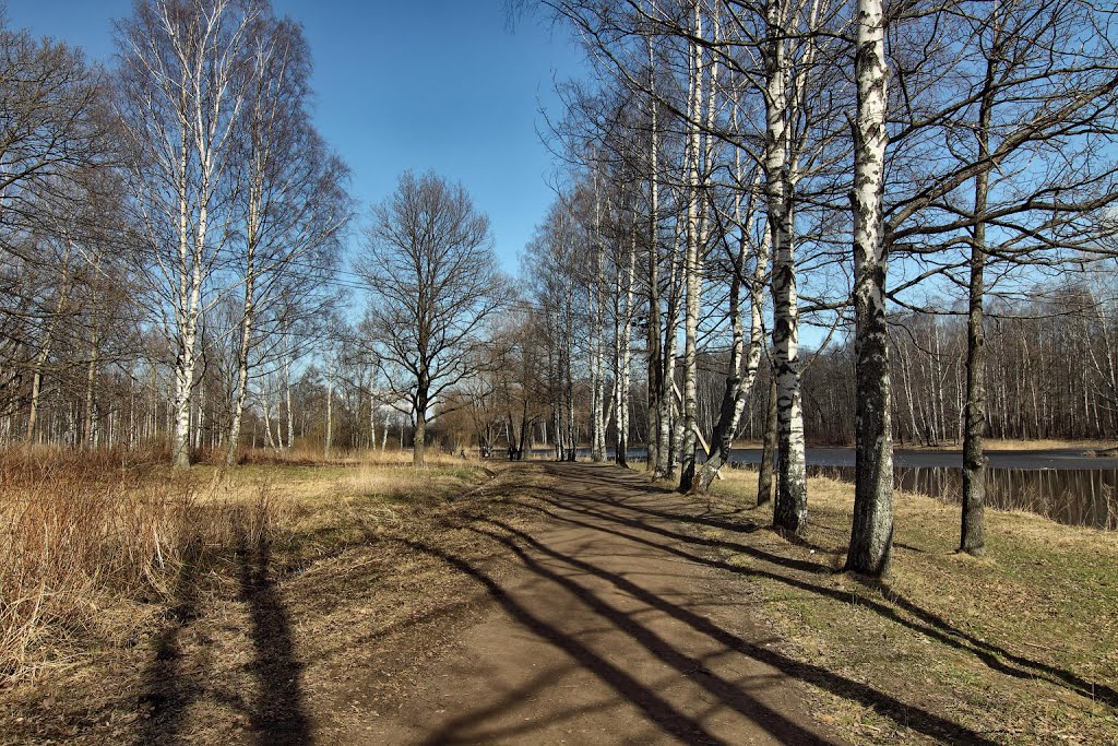 Английский парк. Апрель 2013