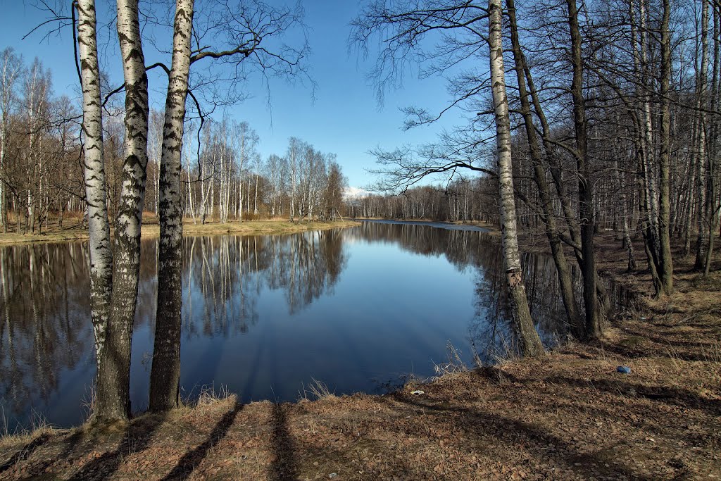 Английский парк. Апрель 2013