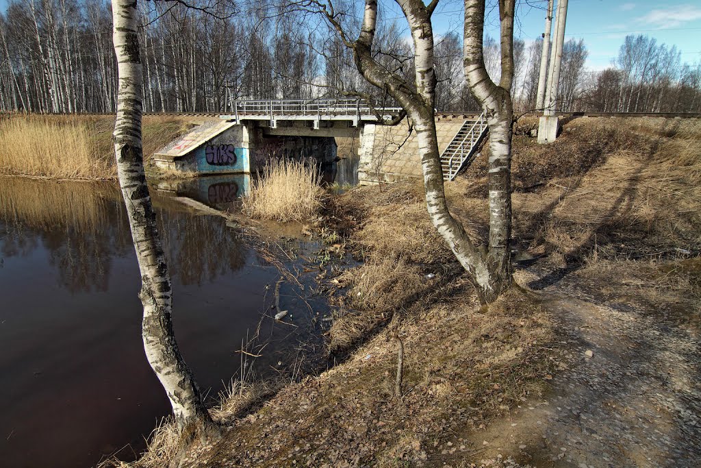 Английский парк. Апрель 2013