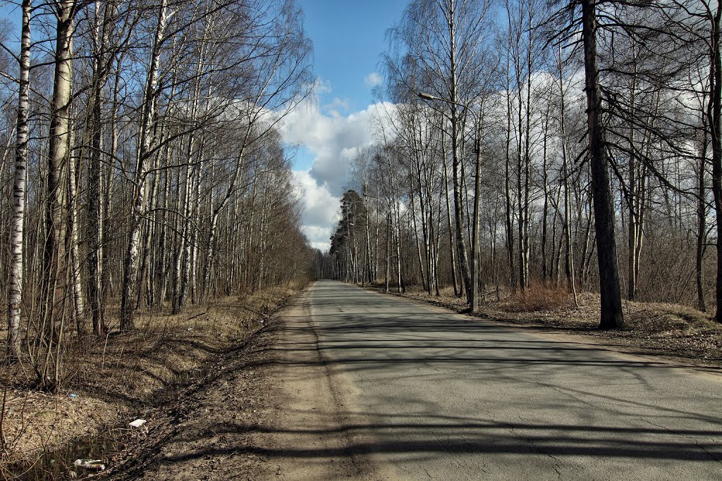 Заячий проспект. Апрель 2013