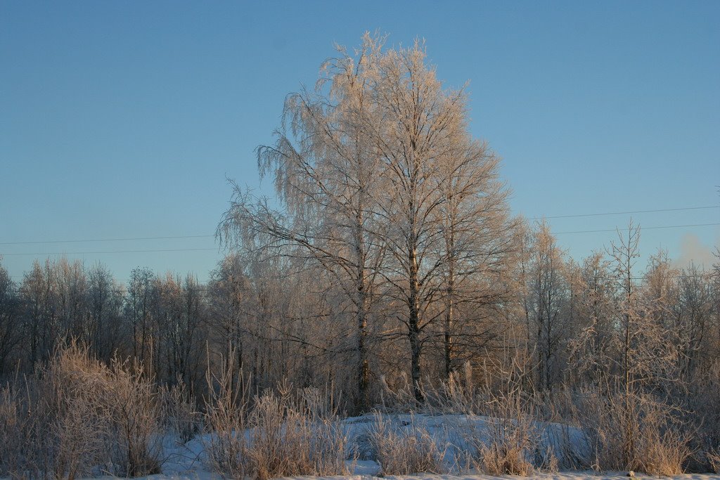 Winter in my town