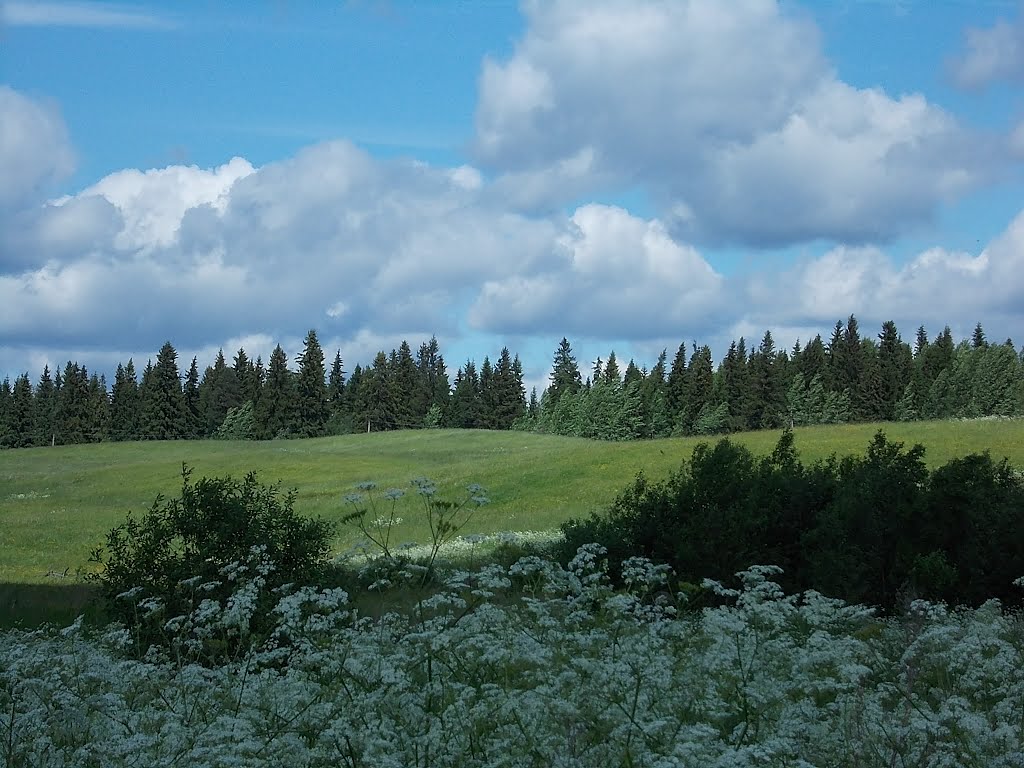 Vazhiny