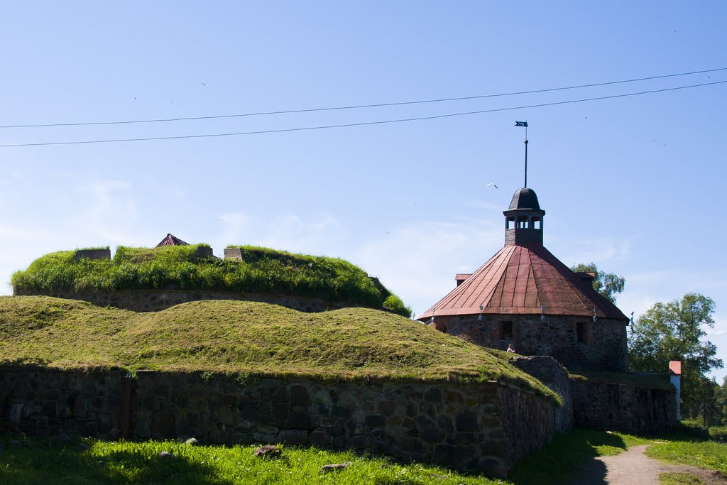Корела
