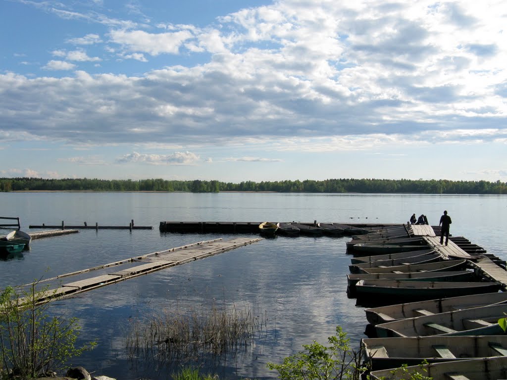 Приозерск. 2008.05.30. Озеро Вуокса