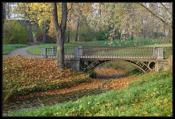 В парке осенью
