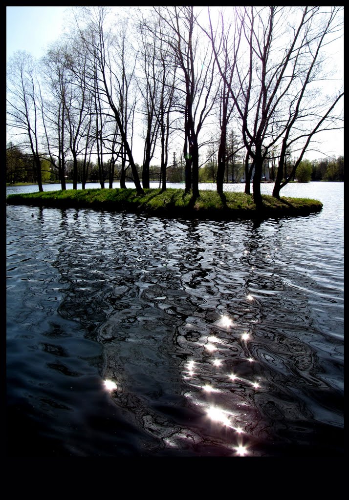 Остров в Царском Селе / Island at Tsarskoe Selo
