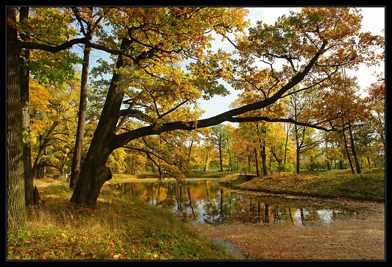 Tsarskoje Selo. Alexandrovsky park