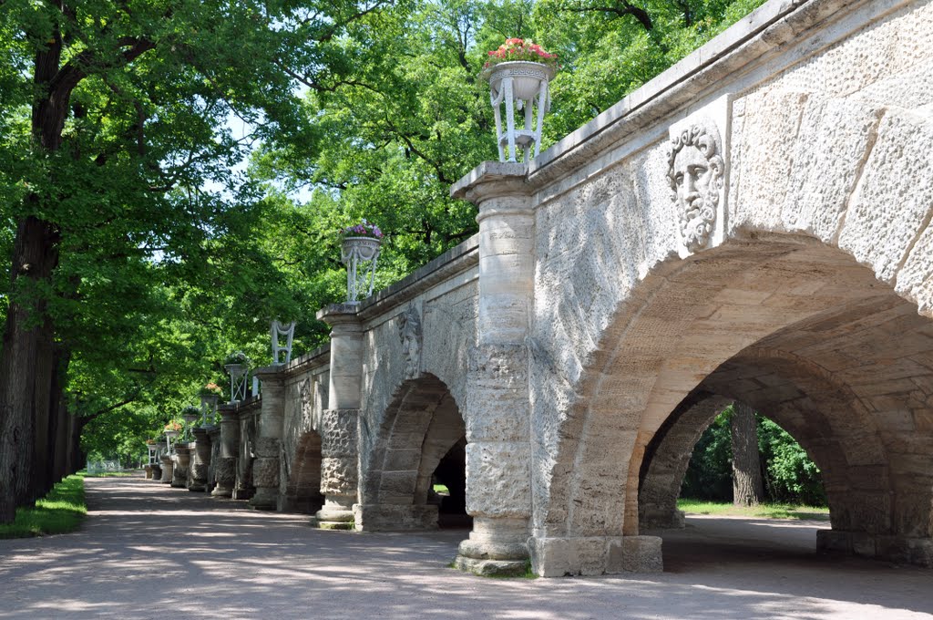 皇村花园 Queen Village Garden