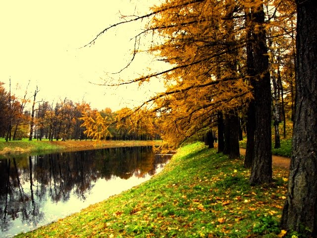осень в Царском Селе