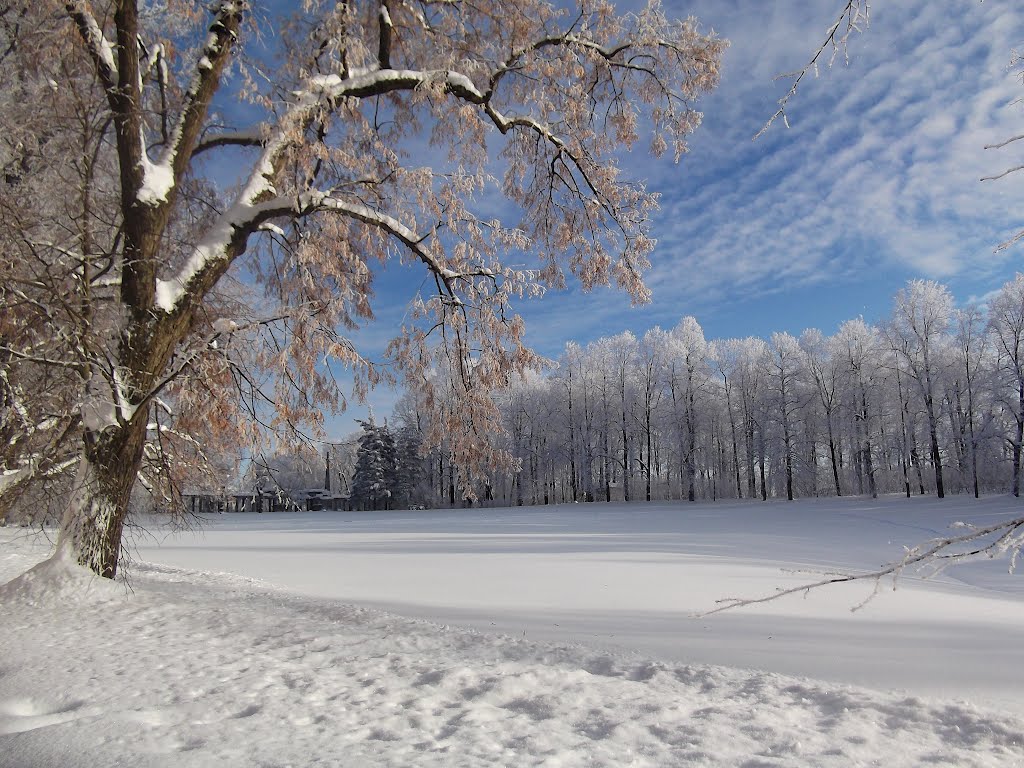 Tzarskoe selo. Catherines park.