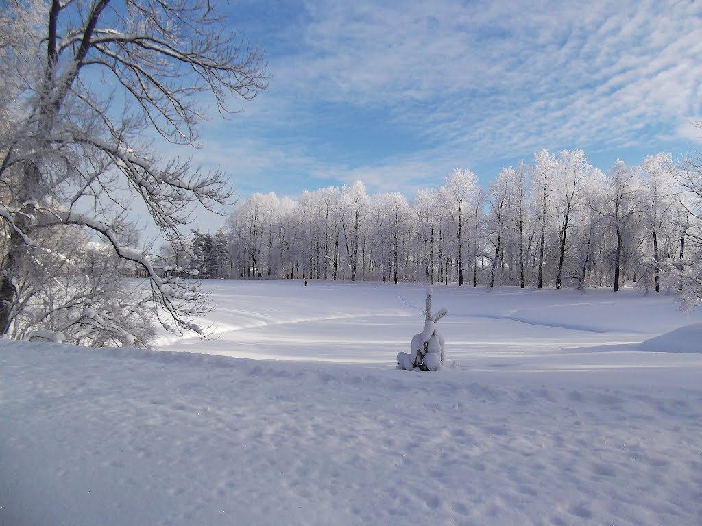 Tzarskoe selo. Catherines park.