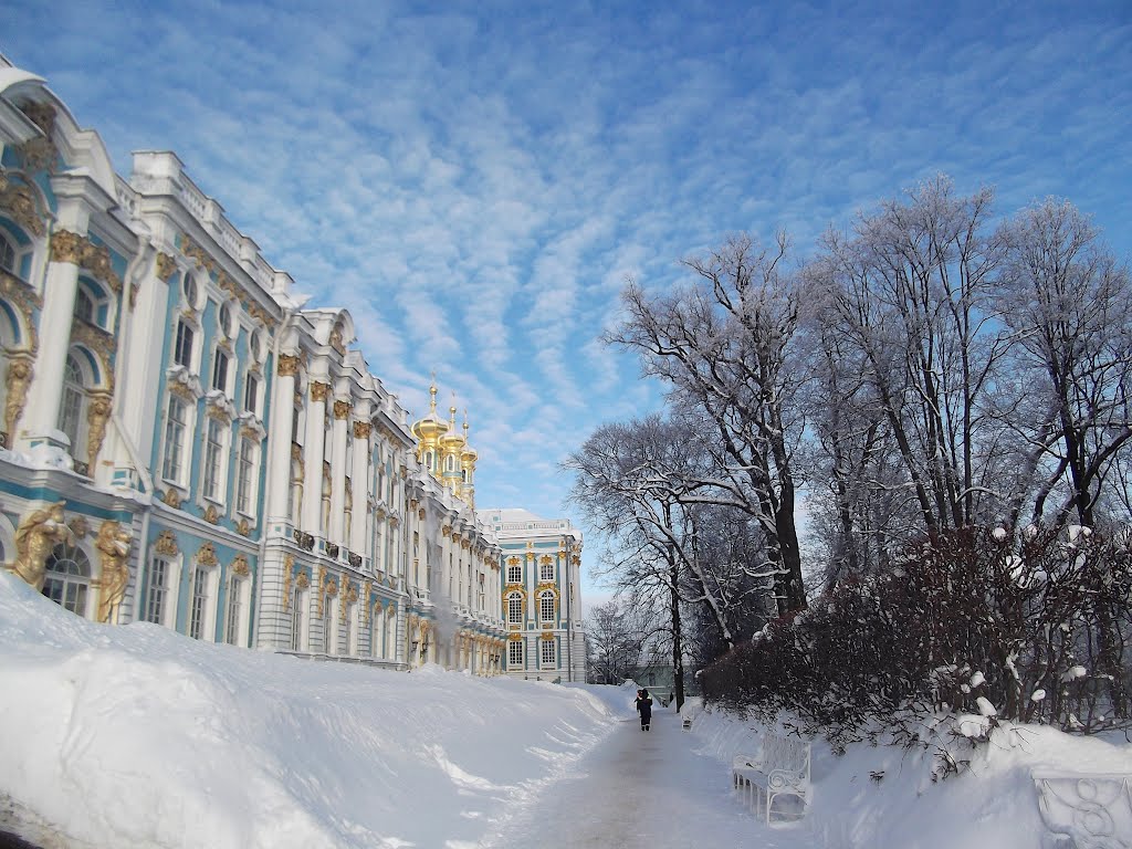 Tzarskoe selo. Catherines Palace.