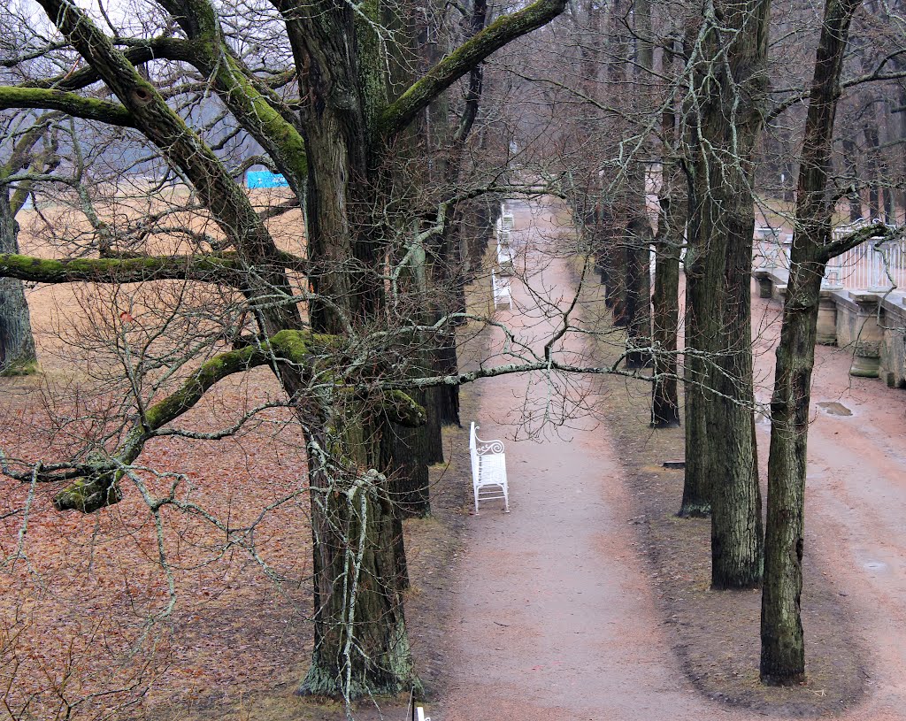 Tzarskoe selo.