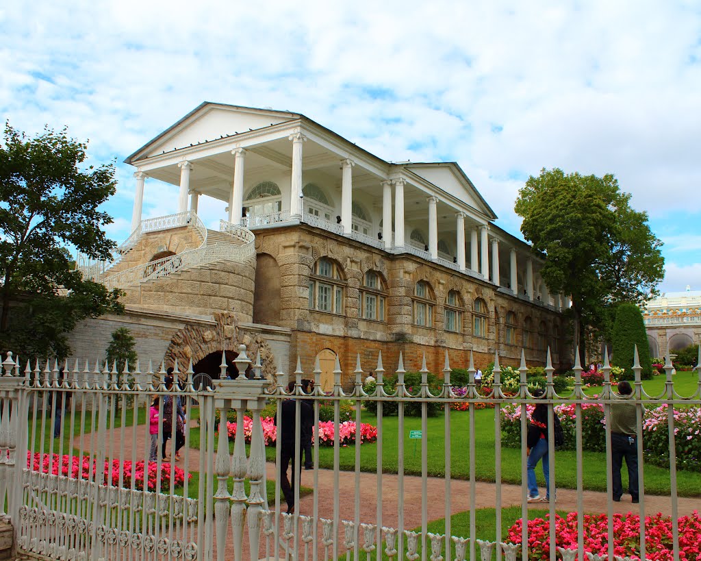 The Cameron Gallery