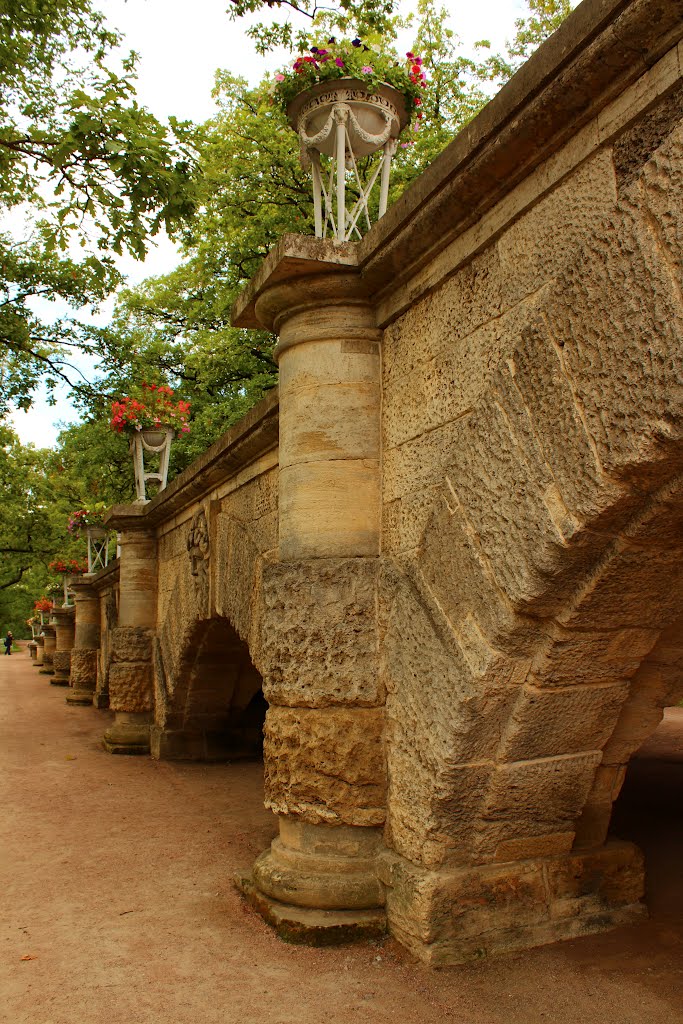 bridge in the park